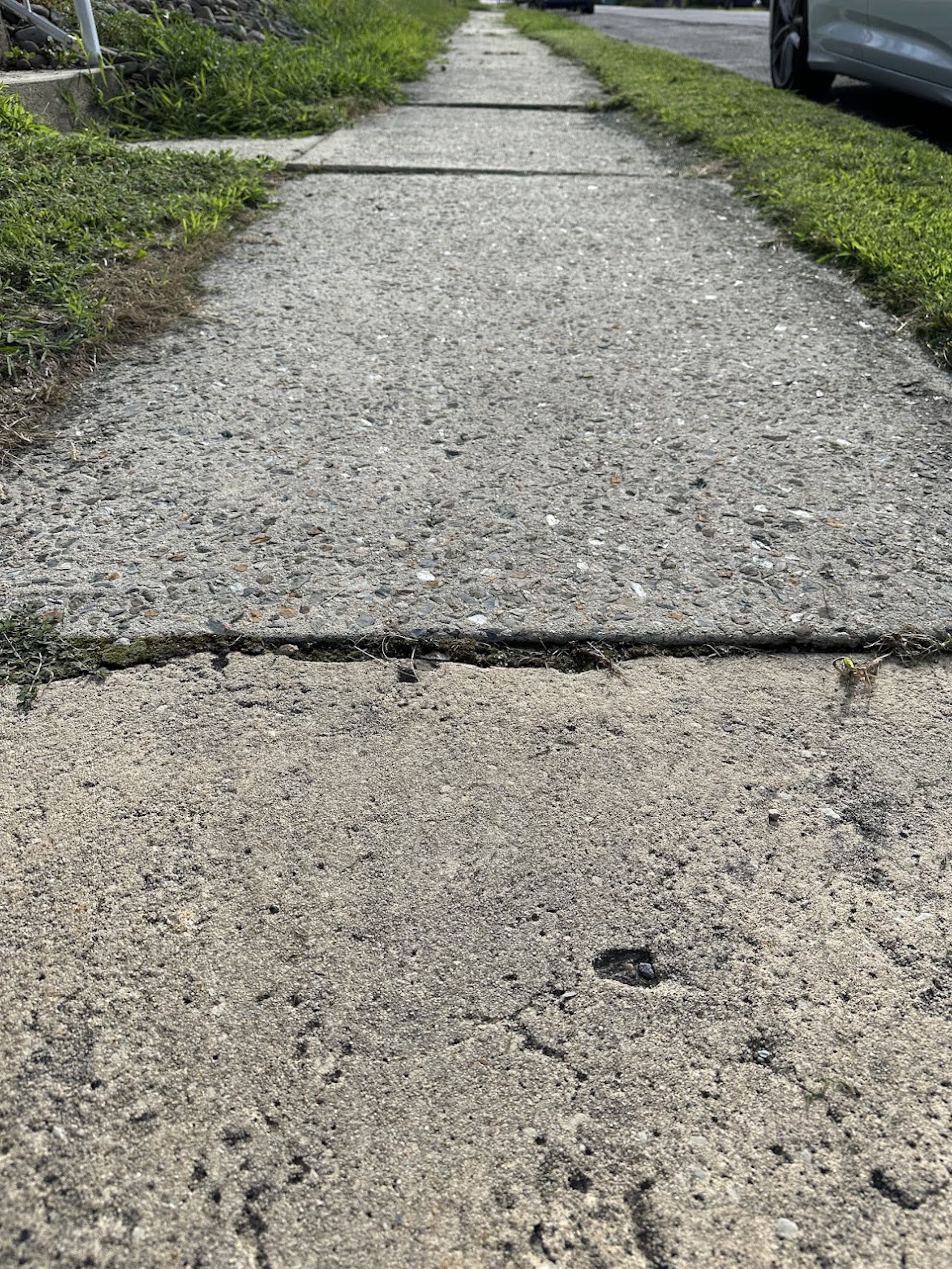 You are currently viewing The 5 Best Solutions to Level Uneven Sidewalks